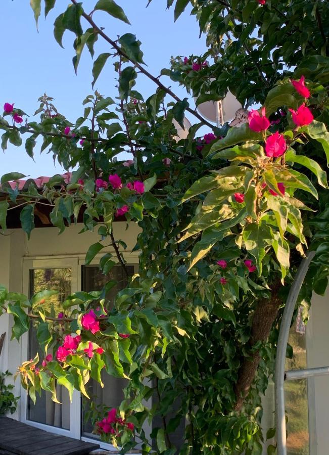 La Casa Di Mare Villa Agios Gordios  Luaran gambar